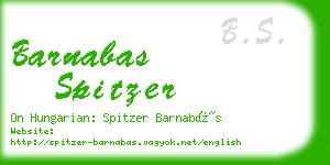 barnabas spitzer business card